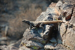 photo thumbnail #4