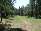 photo thumbnail #3