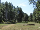 recent photo