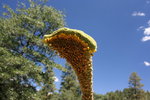 photo thumbnail #4