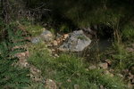 photo thumbnail #9