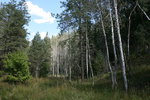 photo thumbnail #11