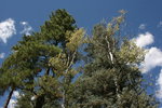 photo thumbnail #13