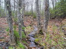 photo thumbnail #1