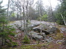 photo thumbnail #4