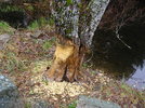 photo thumbnail #7