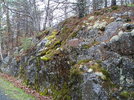 photo thumbnail #12