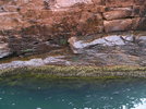photo thumbnail #14
