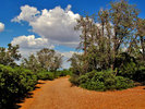 photo thumbnail #1