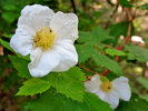 photo thumbnail #7