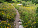 photo thumbnail #13