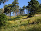 photo thumbnail #1