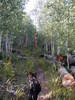 photo thumbnail #4