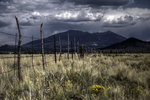 photo thumbnail #4
