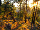 photo thumbnail #14