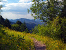 photo thumbnail #3