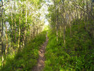 photo thumbnail #4