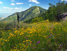 photo thumbnail #6