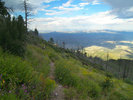 photo thumbnail #8
