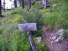 photo thumbnail #10
