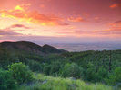 photo thumbnail #15