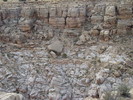 photo thumbnail #11