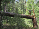photo thumbnail #8