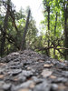 photo thumbnail #10