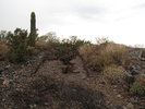 photo thumbnail #1