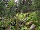 photo thumbnail #6