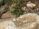 photo thumbnail #12