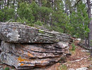 photo thumbnail #14