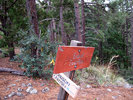photo thumbnail #15