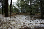 photo thumbnail #11