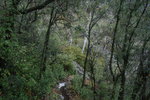 photo thumbnail #14