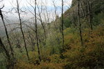 photo thumbnail #15