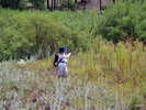 photo thumbnail #7