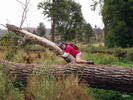 photo thumbnail #10