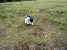 photo thumbnail #11