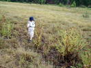 photo thumbnail #14