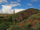 photo thumbnail #3