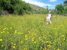 photo thumbnail #9