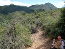 photo thumbnail #12