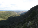 photo thumbnail #13