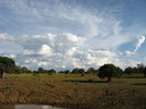 photo thumbnail #14