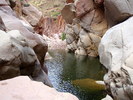photo thumbnail #8