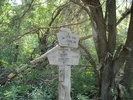 photo thumbnail #8