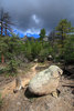 photo thumbnail #5