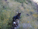 photo thumbnail #11