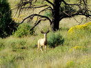photo thumbnail #8